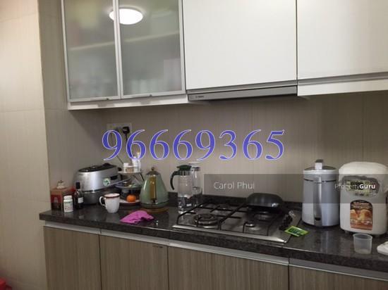The Metropolitan Condominium (D3), Condominium #145712622